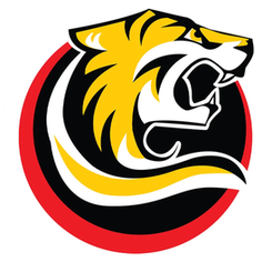 诺克斯袭击者女篮